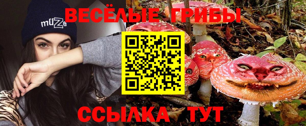 Галлюциногенные грибы GOLDEN TEACHER  Псилоцибиновые грибы Cubensis  наркота  Вход с VPN  Ухта 