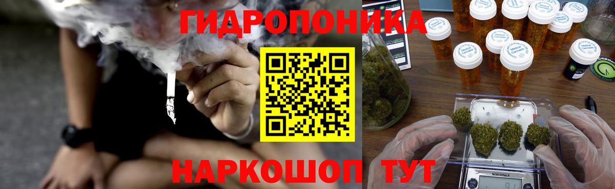Каннабис конопля Ухта